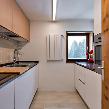 Chesa Trisur - Celerina דירה